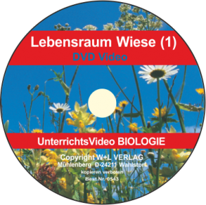 W+L Wiese 1